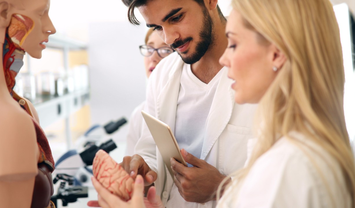 sundhedsfaglige i arbejde